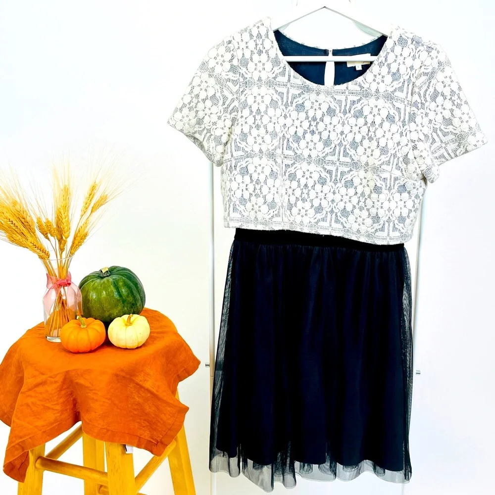 Anthropologie Weston Laced Tulle Dress | Size S - Picture 1 of 10